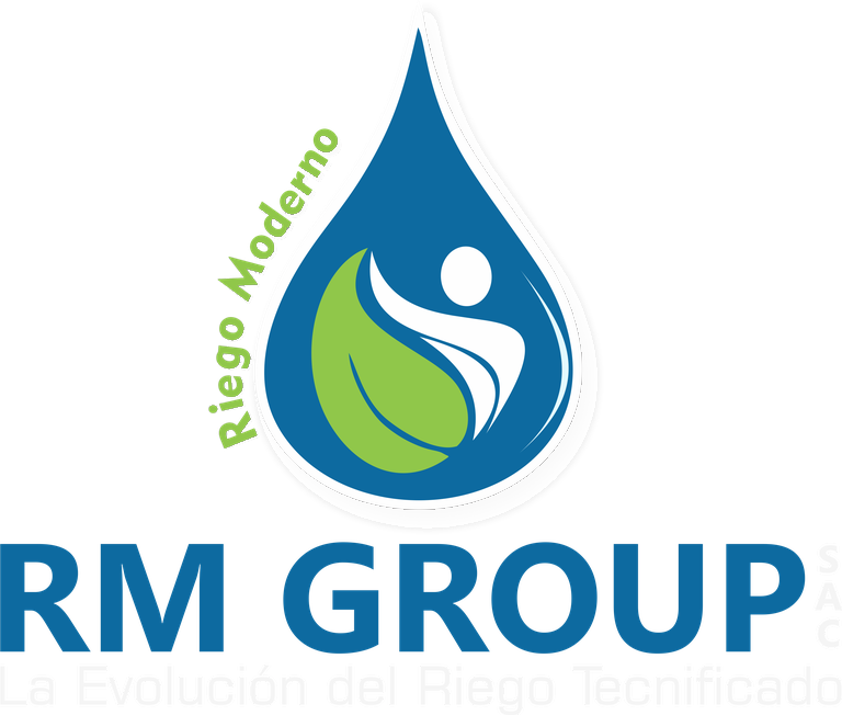 RM Group SAC